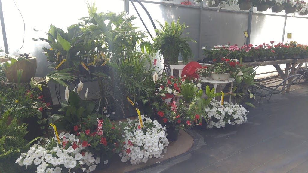 Kalis Greenhouse | 1279 Old Hwy 24, Waterford, ON N0E 1Y0, Canada | Phone: (519) 443-5151