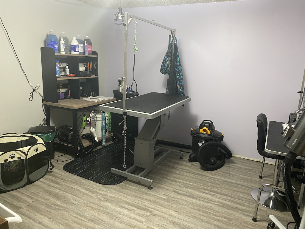 Prairie Pets Grooming | 2213 14th St, Coaldale, AB T1M 1C7, Canada | Phone: (403) 308-4701