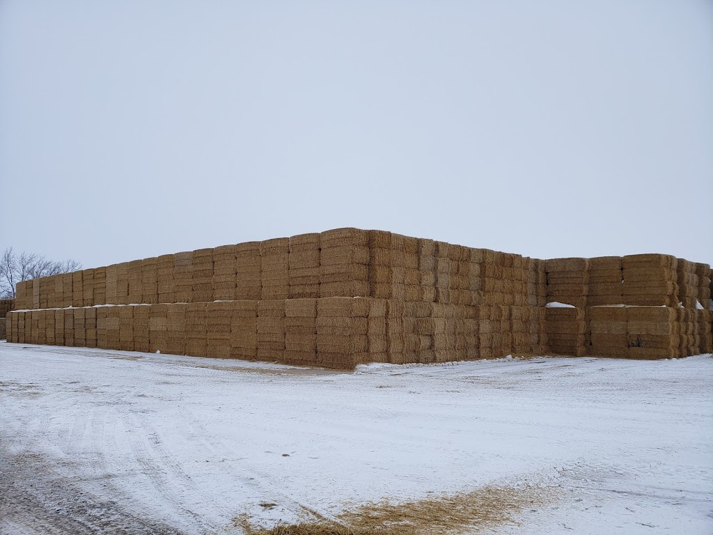 R & L Acres | 11075, 36 N, Sperling, MB R0G 2M0, Canada | Phone: (204) 626-3283