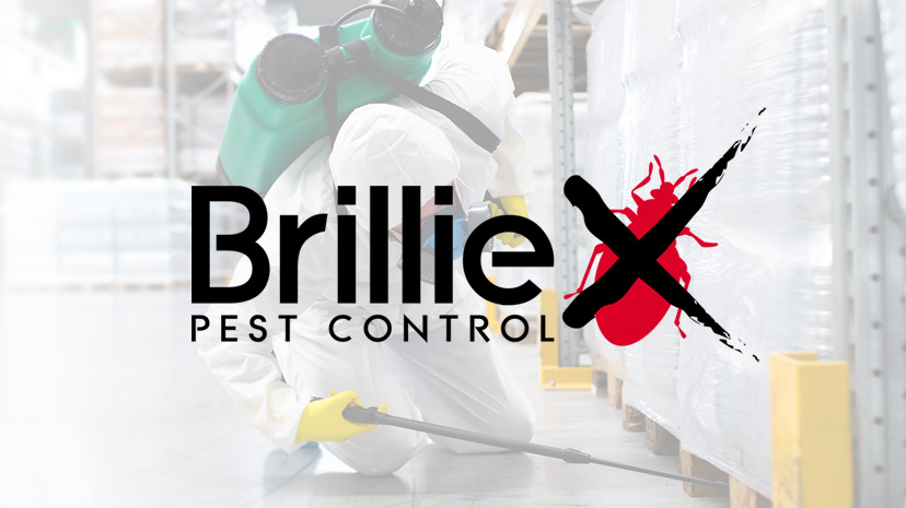 Brilliex Pest Control Inc | 6021 Yonge St unit 422, North York, ON M2M 3W2, Canada | Phone: (647) 776-7739