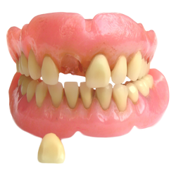 DENTURE REPAIRS GEORGETOWN, Show-Dent Inc | 18 Church St, Georgetown, ON L7G 2A5, Canada | Phone: (905) 877-2359