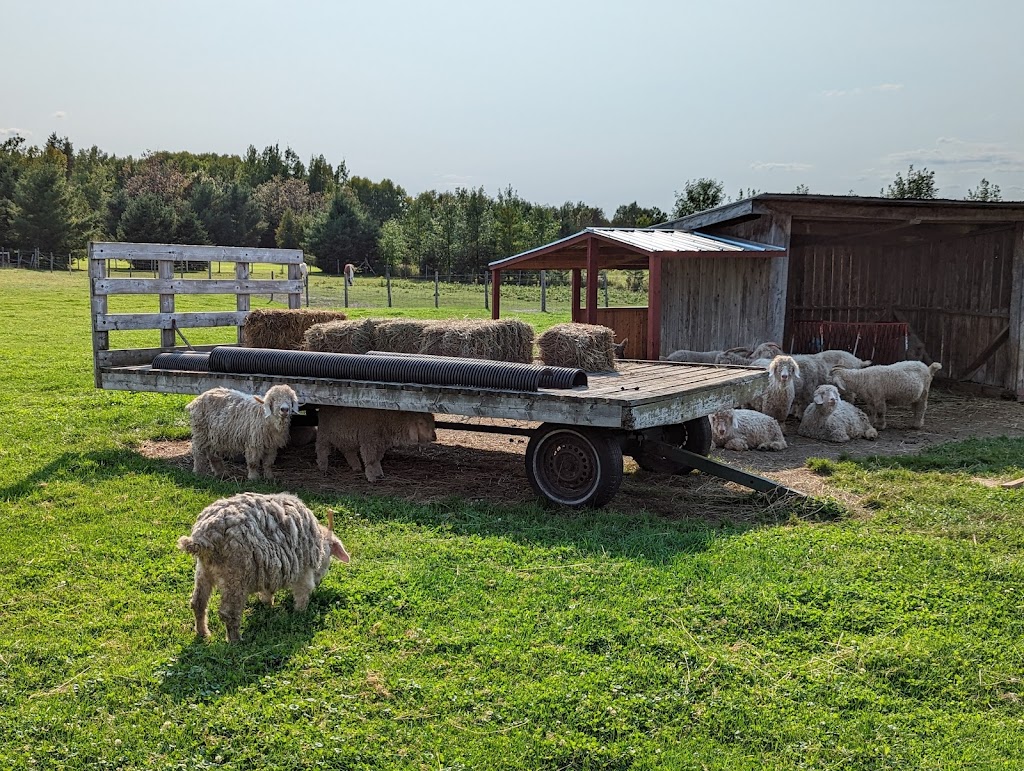 Le chevrier du nord | 71 Rang St Joseph, Saint-Fulgence, QC G0V 1S0, Canada | Phone: (418) 590-2755