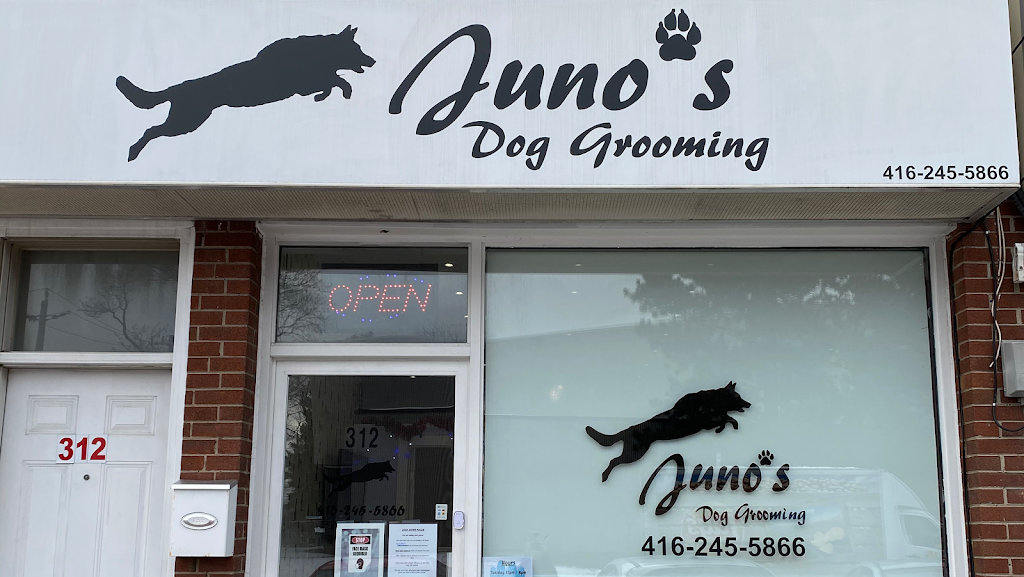 Junos Dog Grooming | 312 Rustic Rd, Toronto, ON M6L 1W5, Canada | Phone: (416) 245-5866