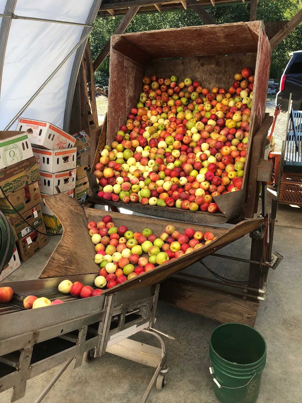 Coombs Country Cider | 1195 McLean Rd, Qualicum Beach, BC V9K 1W5, Canada | Phone: (250) 937-9644