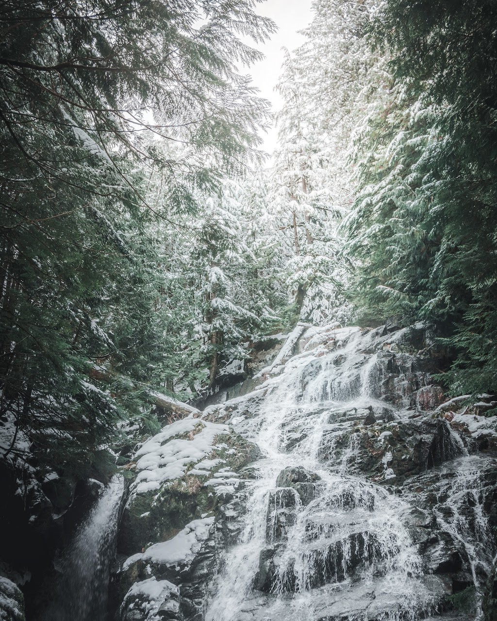 Big Cedar | North Vancouver, BC V7K 3B2, Canada