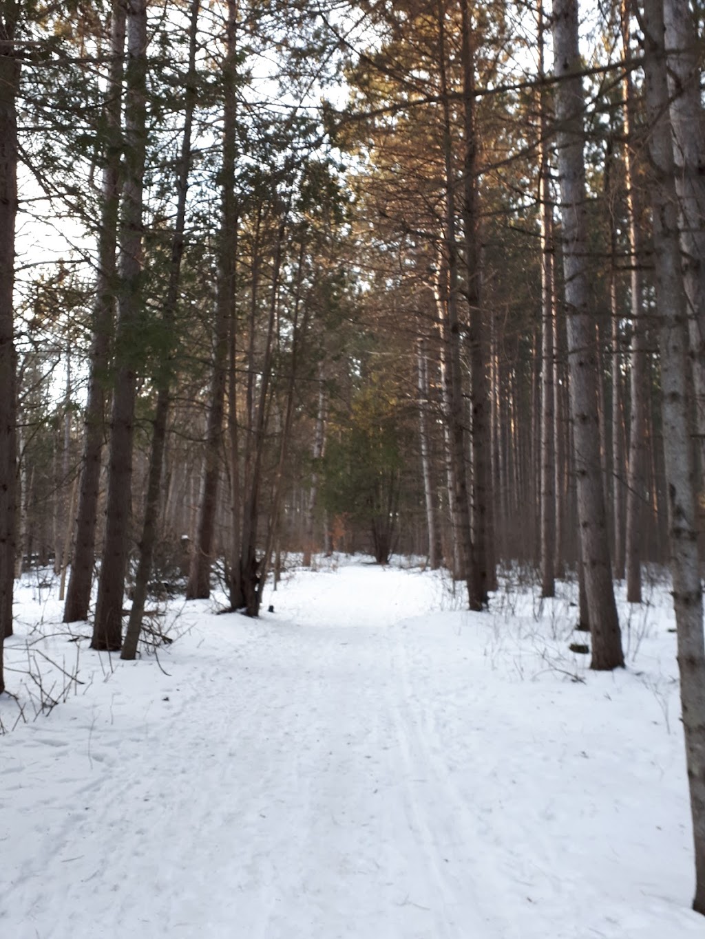 Old Quarry Trail | Eagleson Rd, Kanata, ON K2M 1A9, Canada