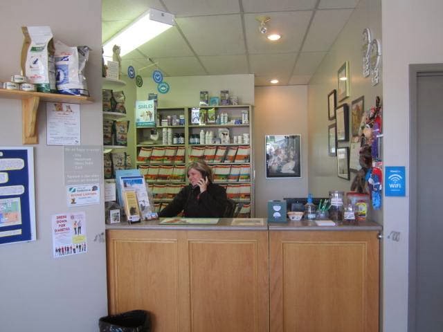 Forest Grove Veterinary Clinic | 8-415 115 St E, Saskatoon, SK S7N 2X9, Canada | Phone: (306) 955-6111