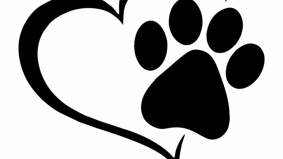 Paw Prints Dog Grooming | 24 Pine Park Blvd, Everett, ON L0M 1J0, Canada | Phone: (705) 890-3300