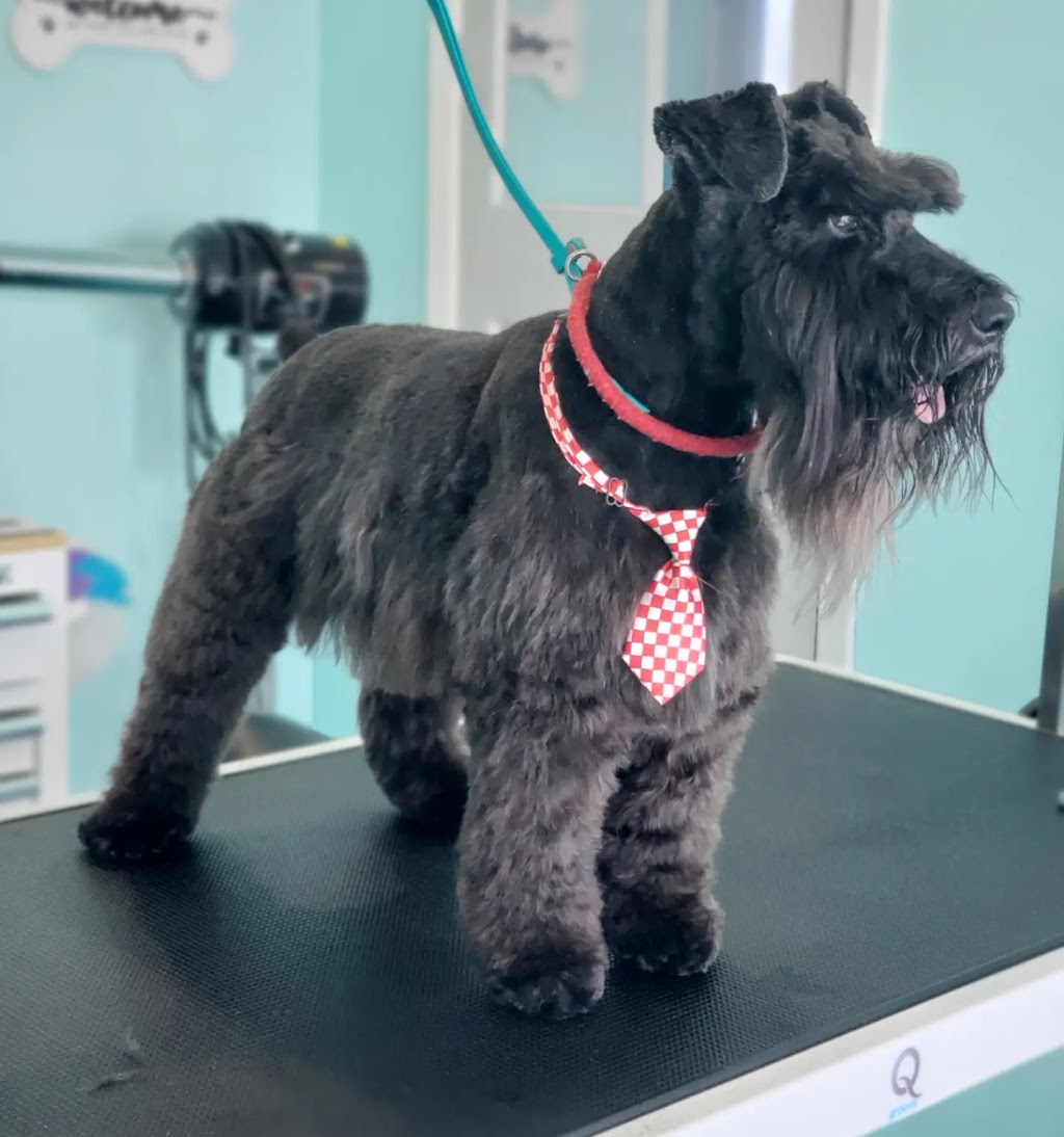 Countryside Dog Grooming | 609 Tice Rd, Fenwick, ON L0S 1C0, Canada | Phone: (905) 347-3649