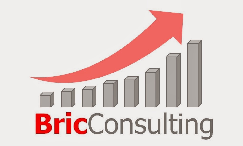 BricConsulting | 225 Centre St W, Richmond Hill, ON L4C 3P9, Canada | Phone: (416) 999-9036