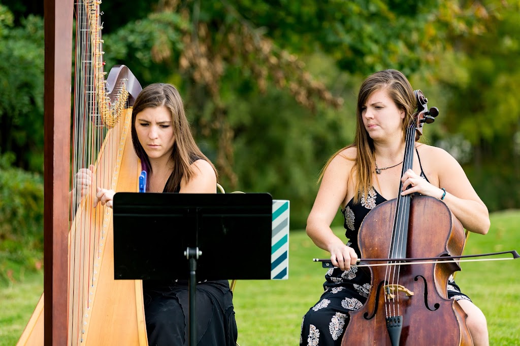 The Soenen Sisters Music - Harp Flute and Cello | 48 Kerr-Shaver Terrace, Brantford, ON N3T 6H8, Canada | Phone: (905) 818-4676