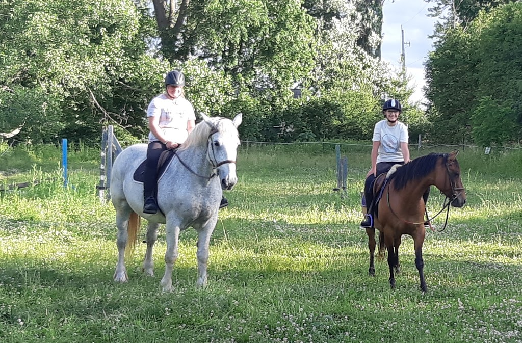 Rainbows End Equestrian | 268 Dickhout Rd, Lowbanks, ON N0A 1K0, Canada | Phone: (416) 888-1718