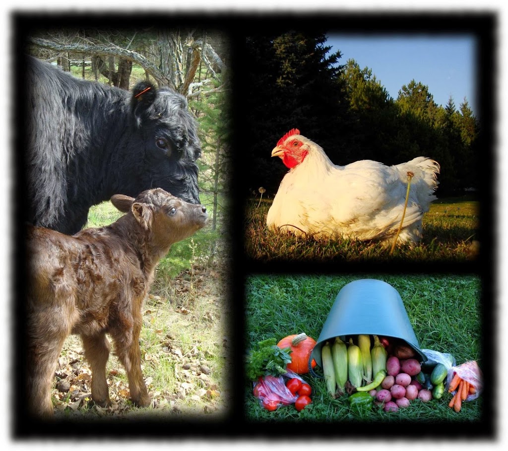 Klasse Woods Natural Farm | Box 137, Austin, MB R0H 0C0, Canada | Phone: (204) 526-2861