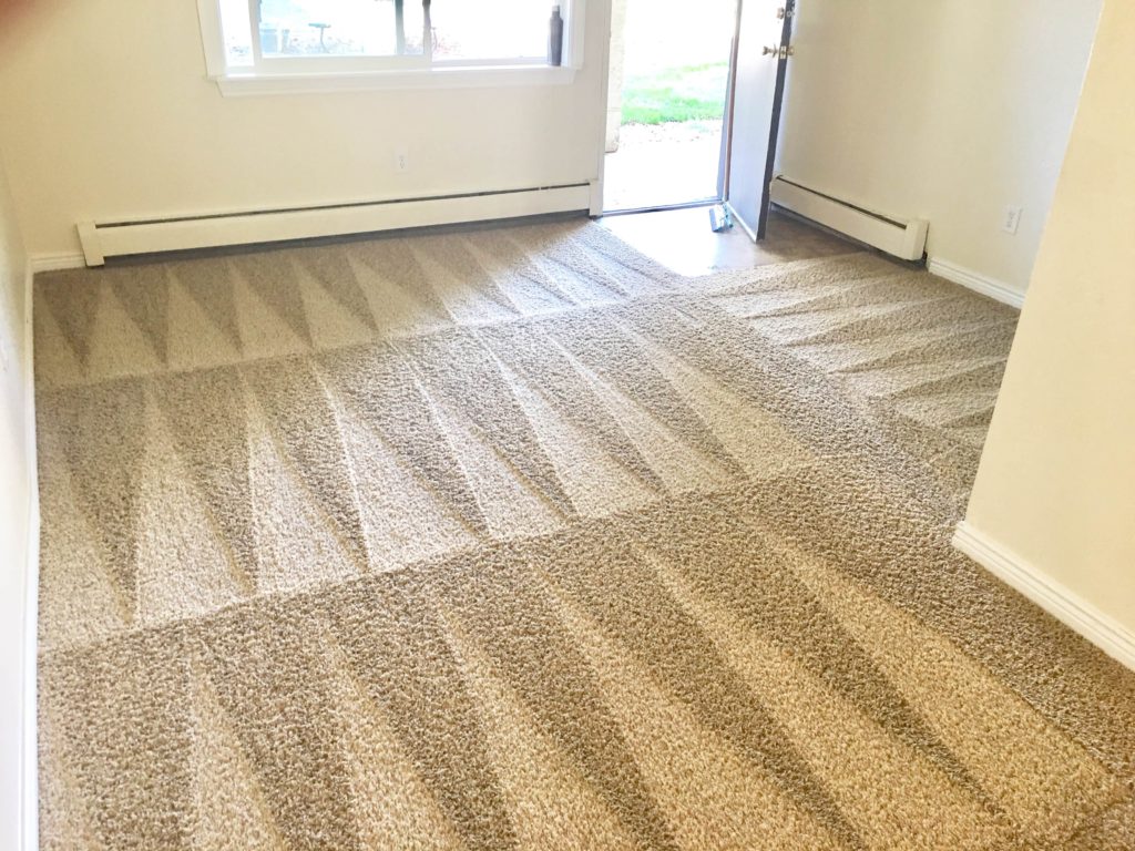 Siawash Carpet Cleaning & House Cleaning Services | 10754 150 St, Surrey, BC V3R 4C6, Canada | Phone: (604) 512-4852