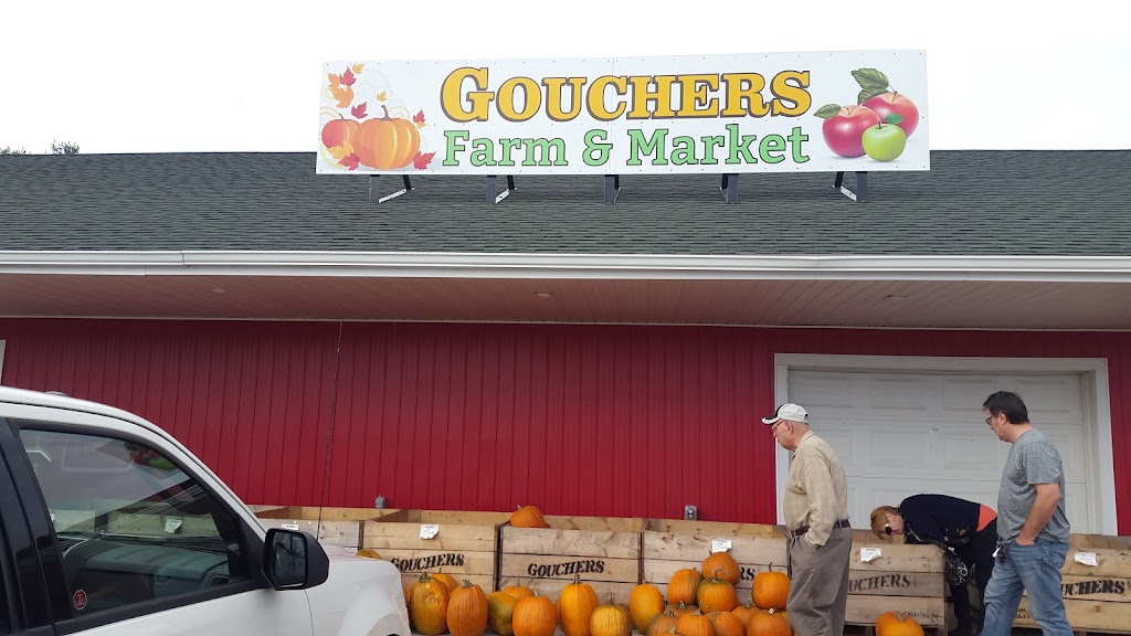 Gouchers Farm Market | 14935, Nova Scotia Trunk 1, Wilmot, NS B0P 1W0, Canada | Phone: (902) 242-3422