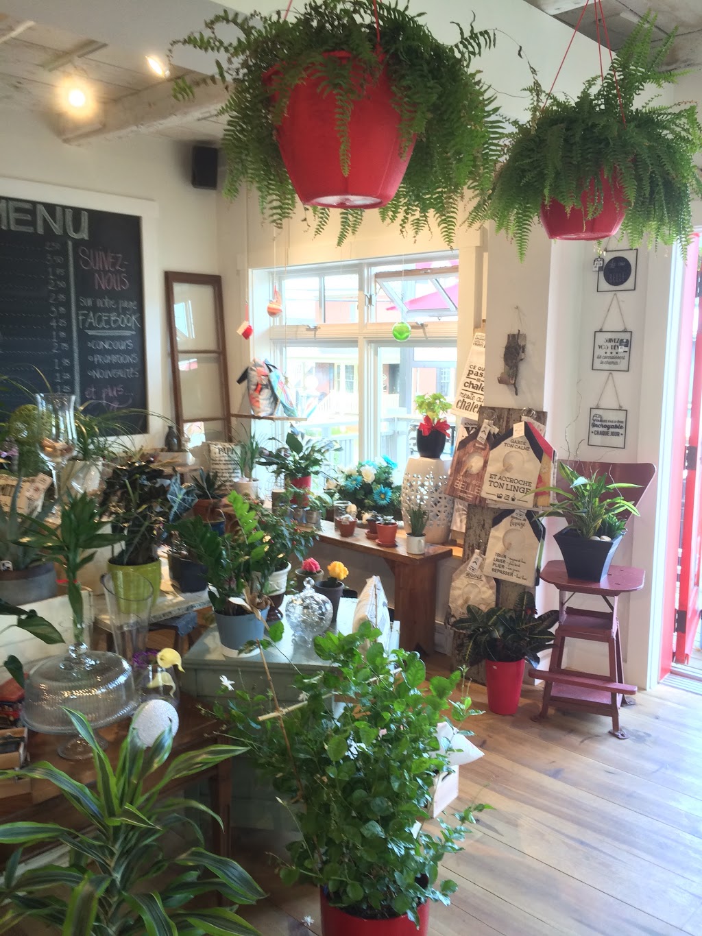 Fleurs et Trouvailles de Chantal | 197 Rue Saint Louis, Warwick, QC J0A 1M0, Canada | Phone: (819) 358-9197