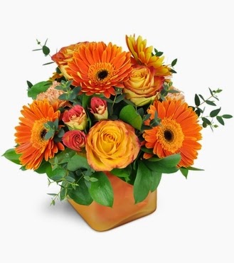 Floresta Flowers & Giftware | 800 Franklin Blvd, Cambridge, ON N1R 7Z1, Canada | Phone: (519) 740-9559