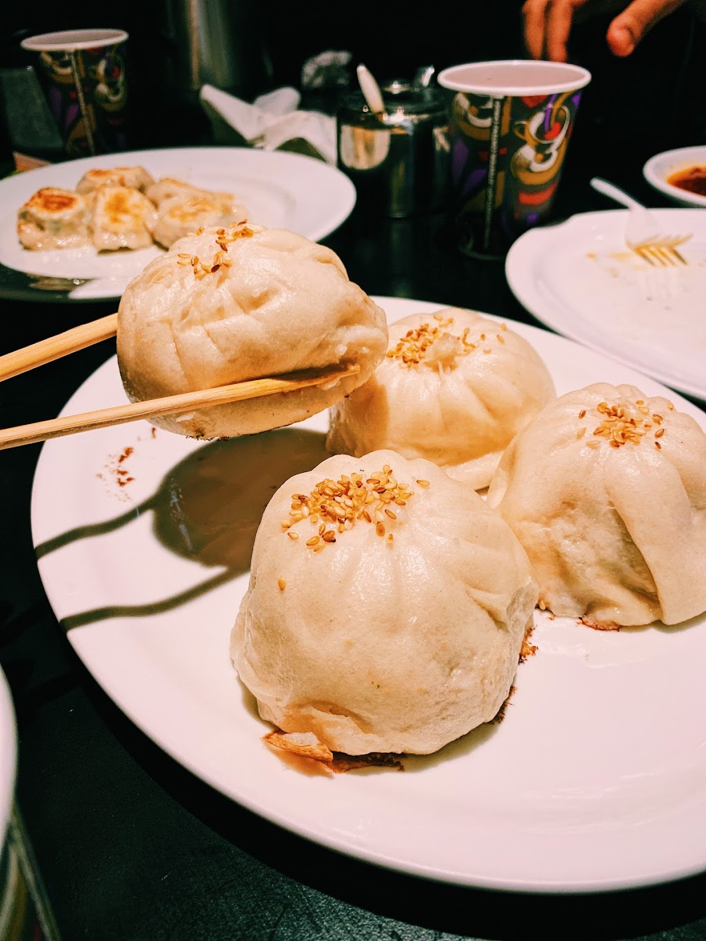 Grace and Healthy Dumplings | 150 University Ave W, Waterloo, ON N2L 6J3, Canada | Phone: (519) 208-0061