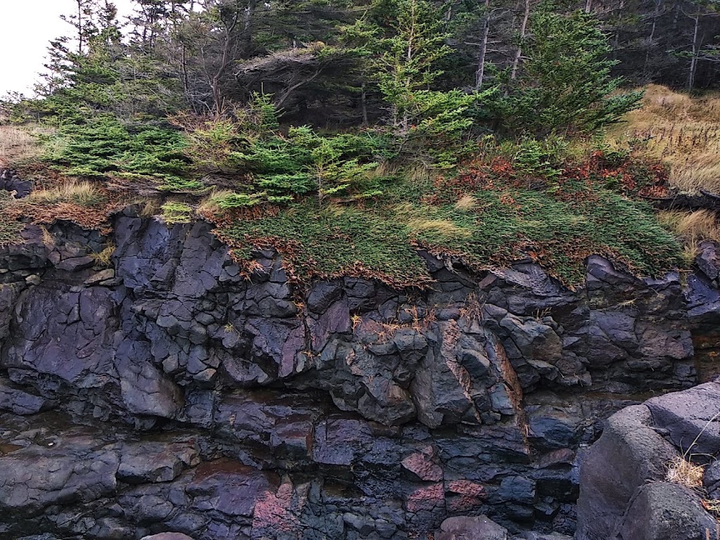 Hampton Lighthouse & Historical Society | 66 Hampton Wharf Rd, Bridgetown, NS B0S 1L0, Canada | Phone: (902) 665-5204