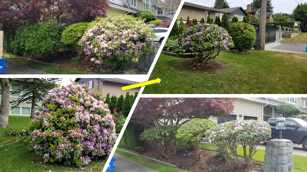 Green Jay Landscaping | 9283 Government St #307, Burnaby, BC V3N 0A5, Canada | Phone: (778) 987-7708