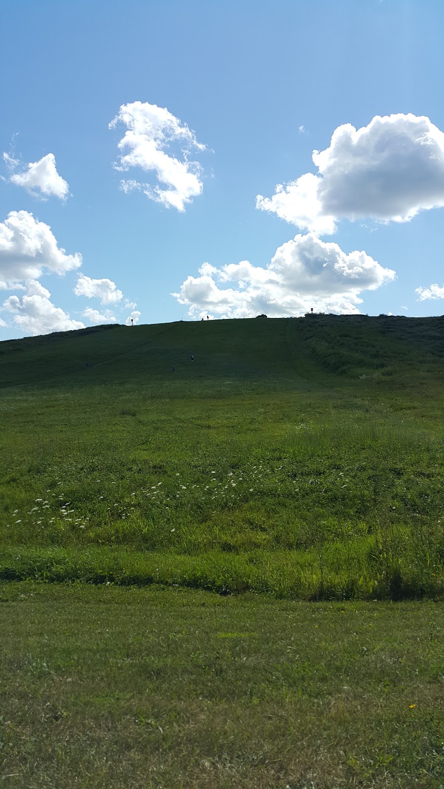 McLennan Dog Park | Laurentian Hills, Kitchener, ON N2E 1T4, Canada