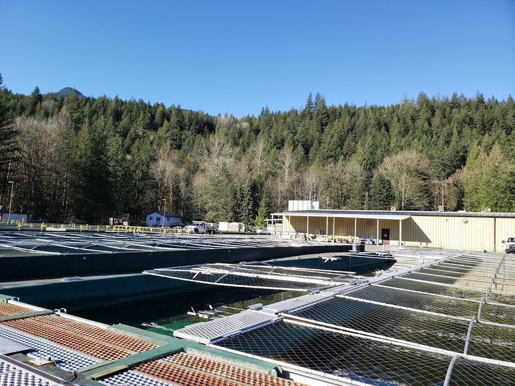 Chehalis River Hatchery | 16250 Morris Valley Rd, Agassiz, BC V0M 1A1, Canada | Phone: (604) 796-9444