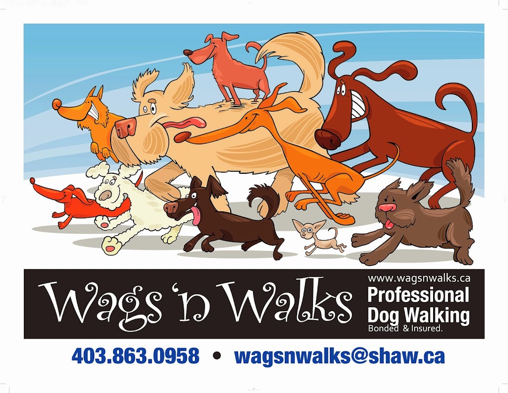 Wags n Walks | 100 Wentworth Cir SW, Calgary, AB T3H 4V8, Canada | Phone: (403) 863-0958