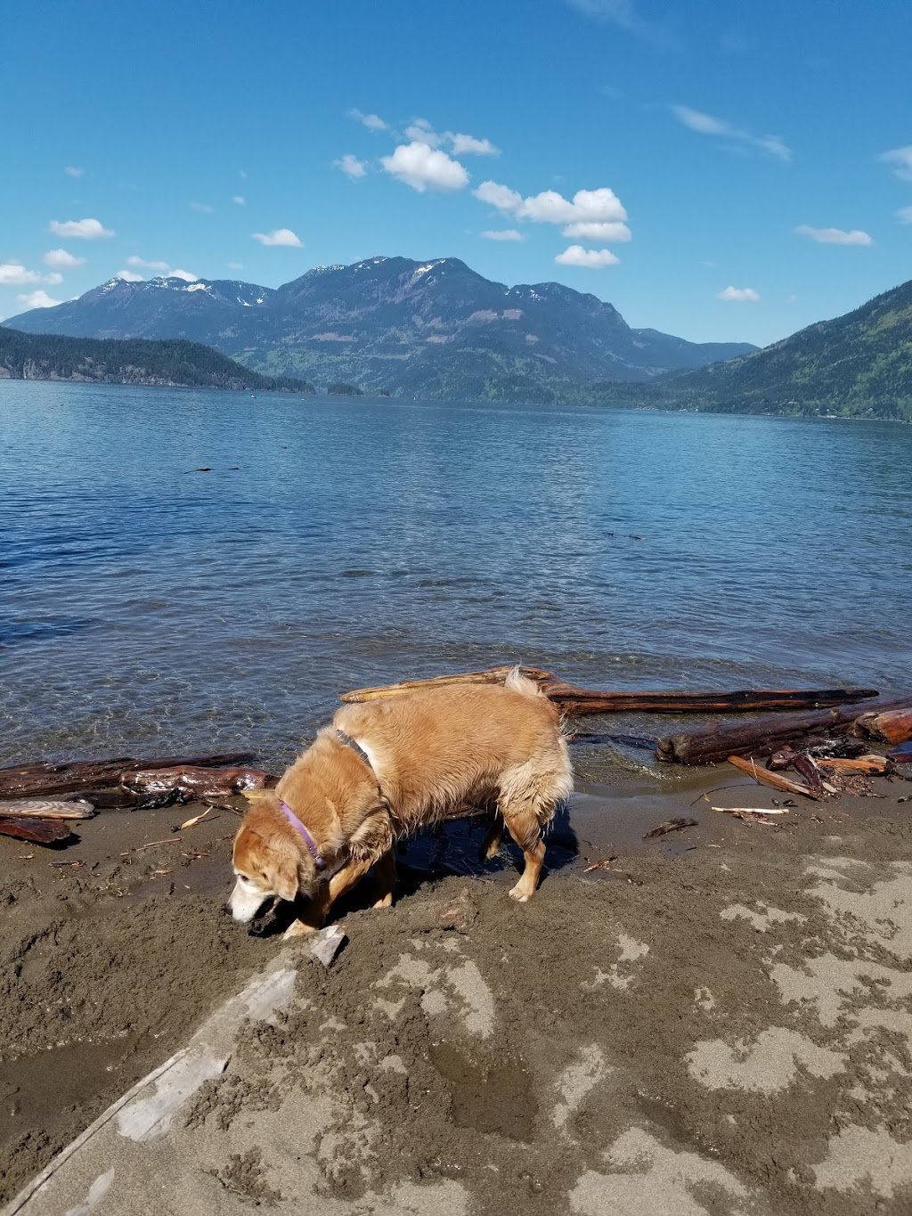 Sandy Cove Beach | Harrison Hot Springs, BC V0M 1A3, Canada