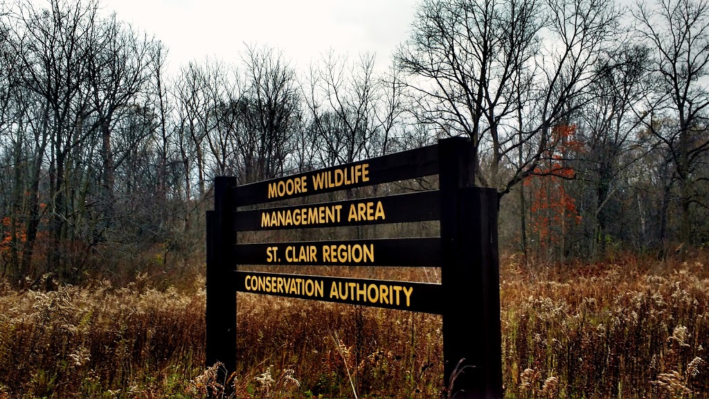 Moore Wildlife Management Area | 1616-1744 Bickford Line, St. Clair Township, ON N0N 1B0, Canada