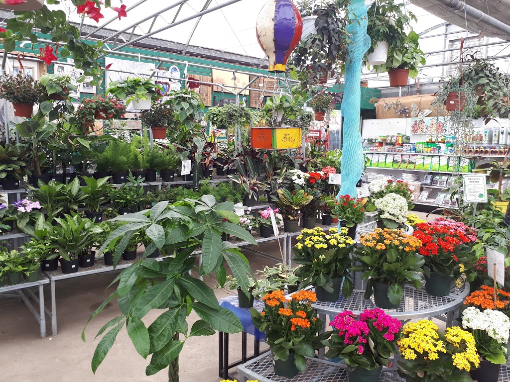 Kuhlmanns Greenhouse Garden Market | 1320 167 Ave NW, Edmonton, AB T5Y 6L6, Canada | Phone: (780) 475-7500