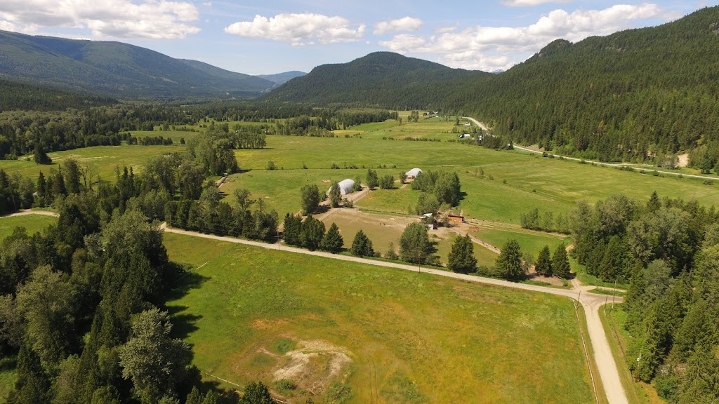 Universal Ostrich Farms Inc. | Langille Road, Edgewood, BC V0G 1J0, Canada | Phone: (250) 269-7447