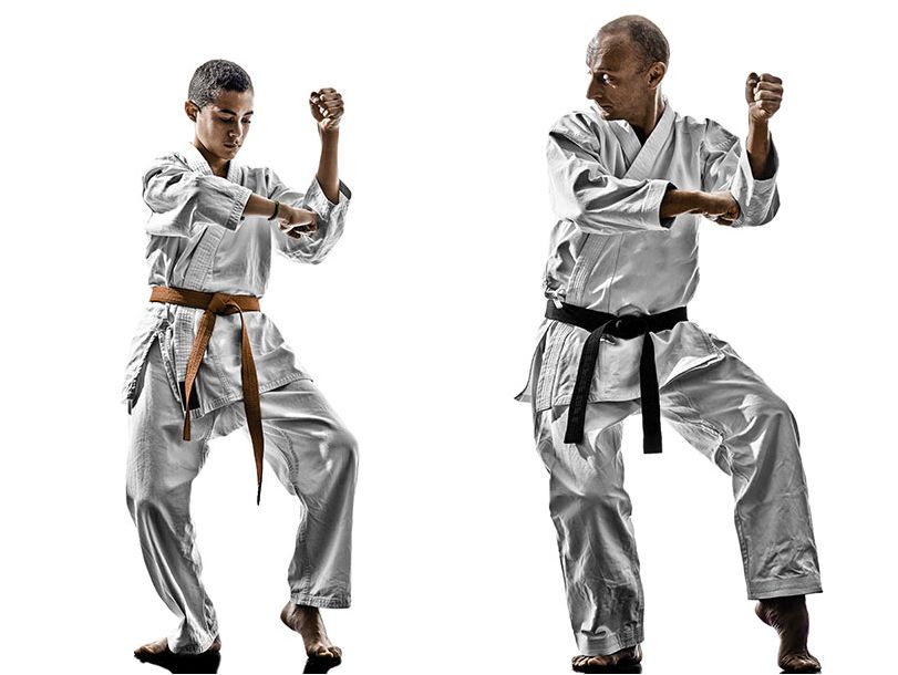 Dynamic Karate | 150 Violet Dr, Hamilton, ON L8E 6B4, Canada | Phone: (905) 928-5425