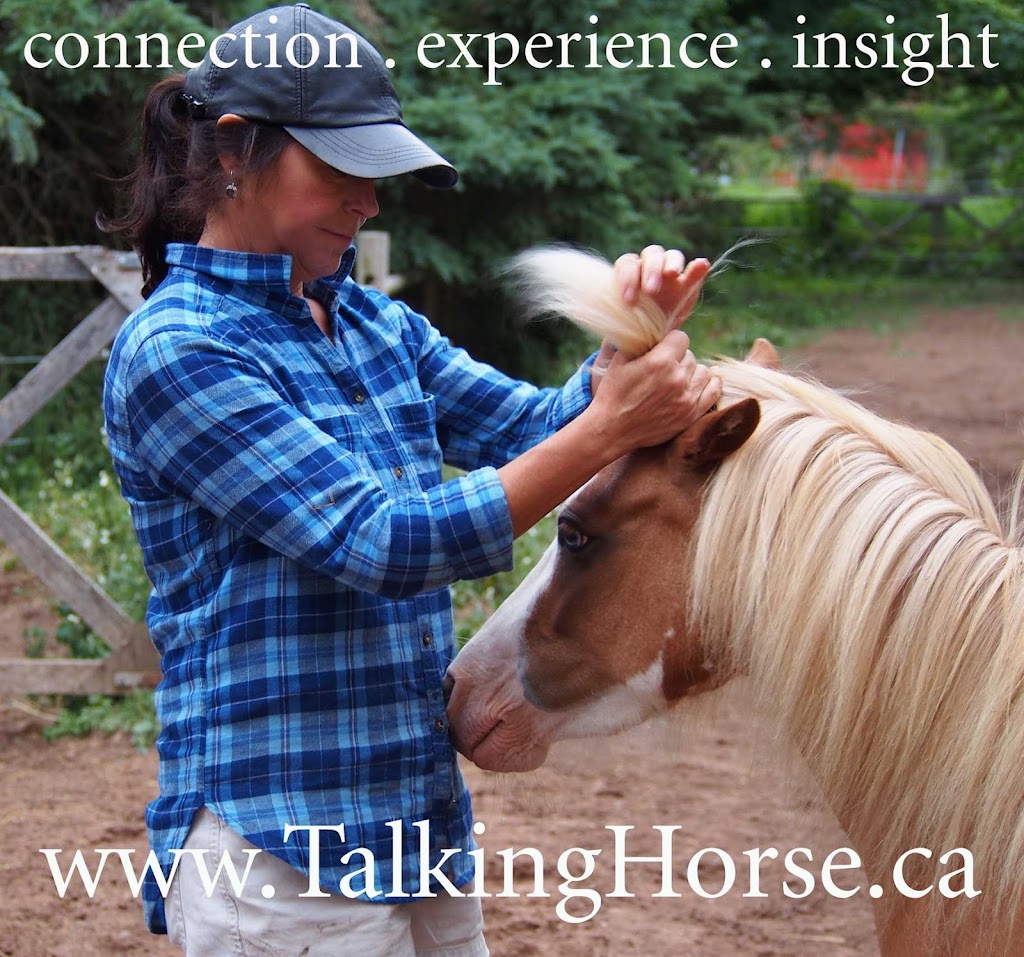 Talking Horse | 1804 Hall Rd, Berwick, NS B0P 1E0, Canada | Phone: (902) 670-9930