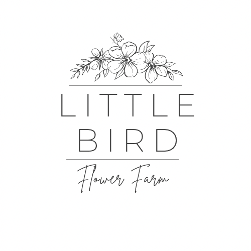 Little Bird Flower Farm | 3208 Melon Rd, Qualicum Beach, BC V9K 2J5, Canada | Phone: (778) 888-2674