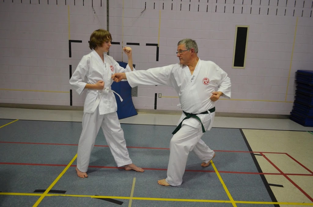 Karate Budo Kwai St-Jérome | 1155 Avenue du Parc, Saint-Jérôme, QC J7Z 6X6, Canada | Phone: (450) 431-1444