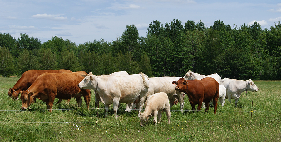 U P A Centre du Québec | 1940 Rue des Pins, Nicolet, QC J3T 1Z9, Canada | Phone: (819) 519-5838