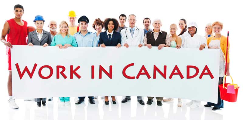 Moradha Immigration Solutions | 11 Rogers Rd, York, ON M6E 1N5, Canada | Phone: (647) 348-2742