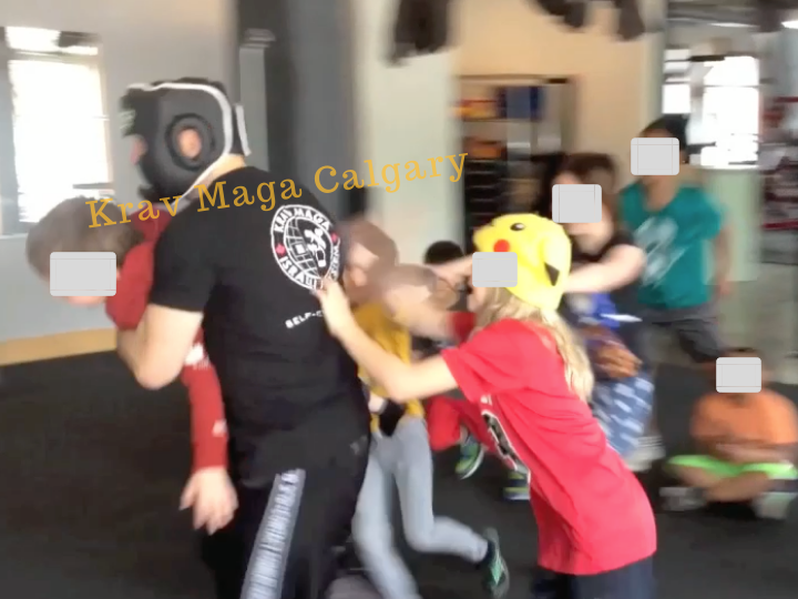 Krav Maga Calgary | 2633 Hochwald Ave SW, Calgary, AB T3E 7K2, Canada | Phone: (403) 493-4886