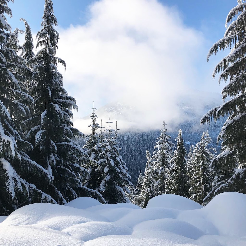 Whistler ATV Tours | Callaghan Rd, Whistler, BC V0N 1B1, Canada | Phone: (604) 932-6681