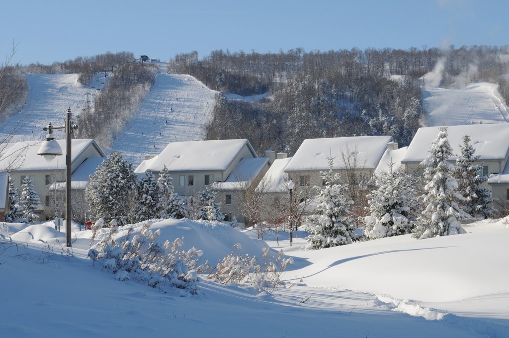 Wintergreen - Resort Homes by Blue Mountain Resort | 107 Wintergreen Pl, The Blue Mountains, ON L9Y 0P8, Canada | Phone: (833) 583-2583