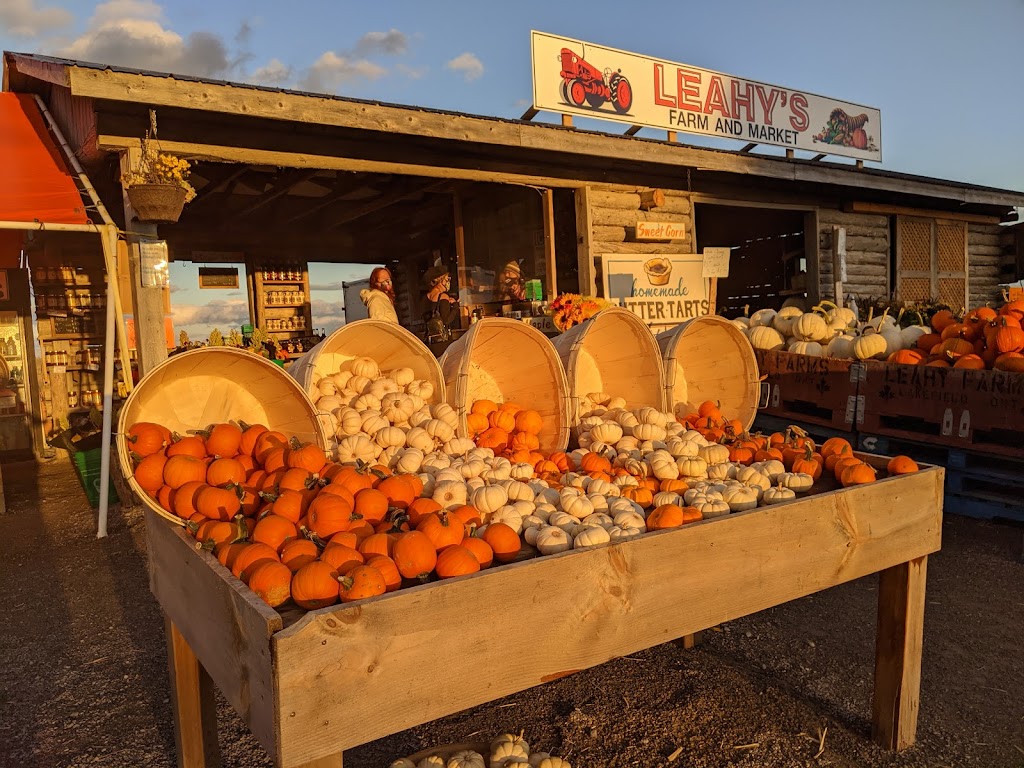 Leahys Farm and Market | 1213 Block Rd, Lakefield, ON K0L 2H0, Canada | Phone: (705) 761-9029