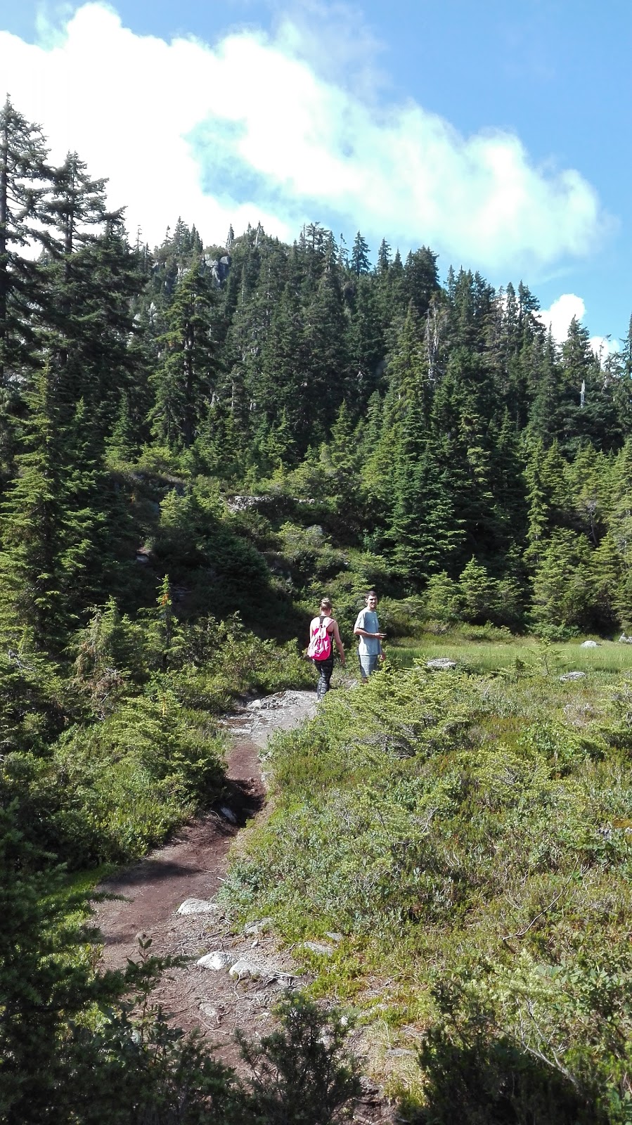 Coliseum Mountain Tarn | Greater Vancouver A, BC V7K 3B2, Canada