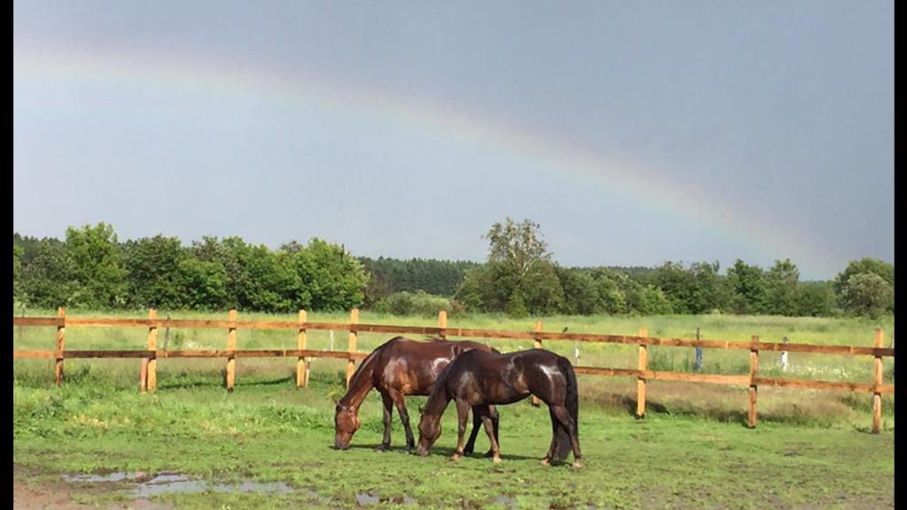 La Ferme! | 622 Rang des Sapins, Sainte-Eulalie, QC G0Z 1E0, Canada | Phone: (819) 244-9598