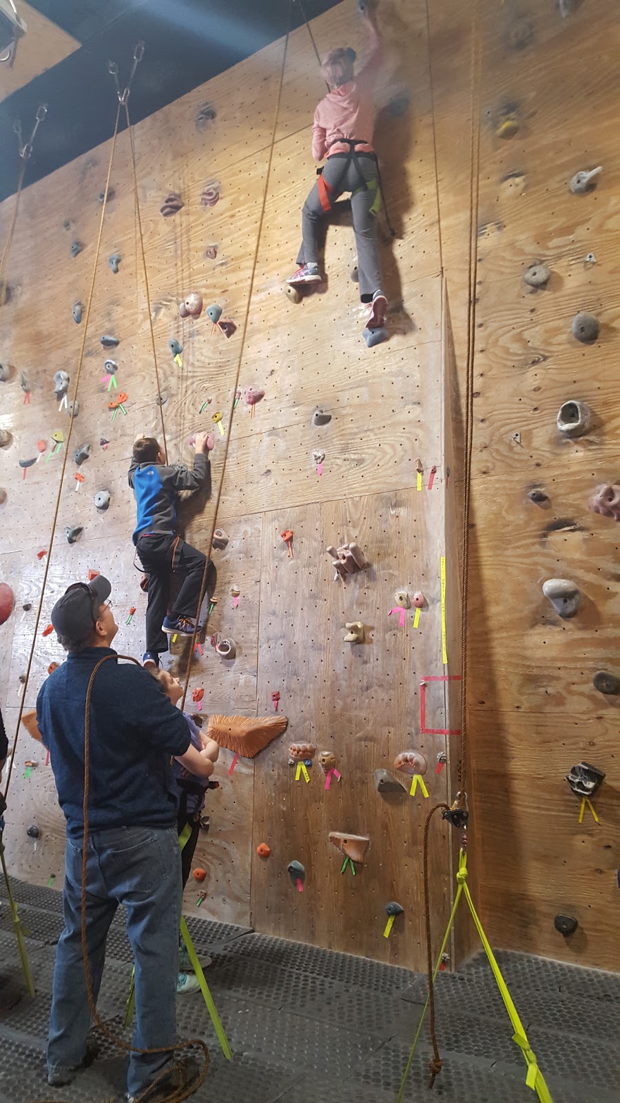 Niagara Climbing Center | 1333 Strad Ave, North Tonawanda, NY 14120, USA | Phone: (716) 695-1248