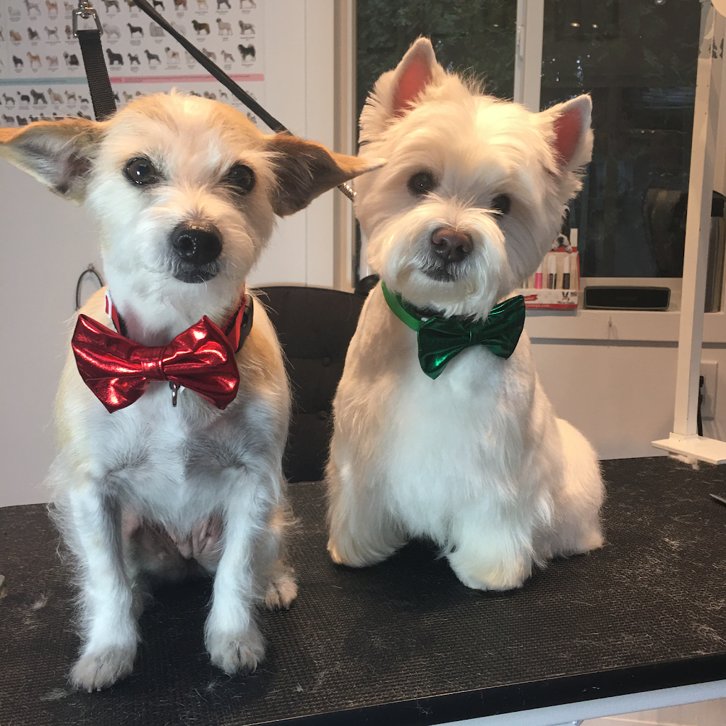 Doggy Style to PURRfection Dog and Cat Grooming Langley | 3742 204 St, Langley, BC V3A 1X4, Canada | Phone: (778) 903-0063