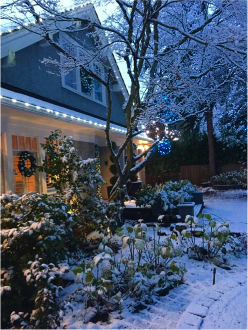 FestiLight - Christmas Light Installation Vancouver | 43 – 3031 Williams Road, Richmond, BC V7E 1H9, Canada | Phone: (855) 733-7845