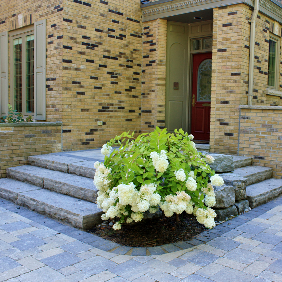 Cedargate Landscaping | 1011 Upper Middle Rd E Suite #1327, Oakville, ON L6H 5Z9, Canada | Phone: (905) 825-8636