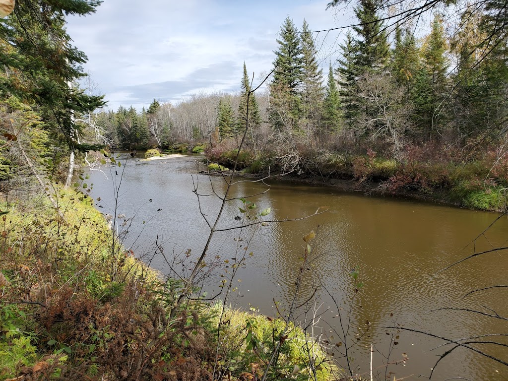 Sandilands Forest Discovery Centre | 67094 Road 68E, Hadashville, MB R0E 0X0, Canada | Phone: (204) 453-3182