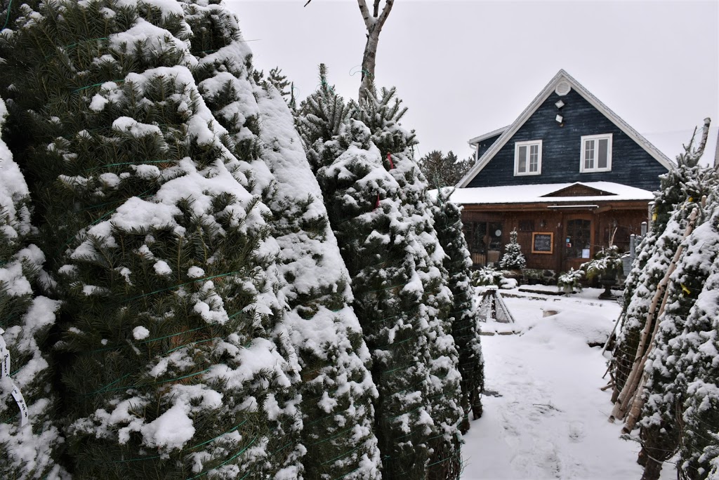 Au Coin Du Jardin | 2501 Chemin Jean-Adam, Saint-Sauveur, QC J0R 1R7, Canada | Phone: (450) 227-5523