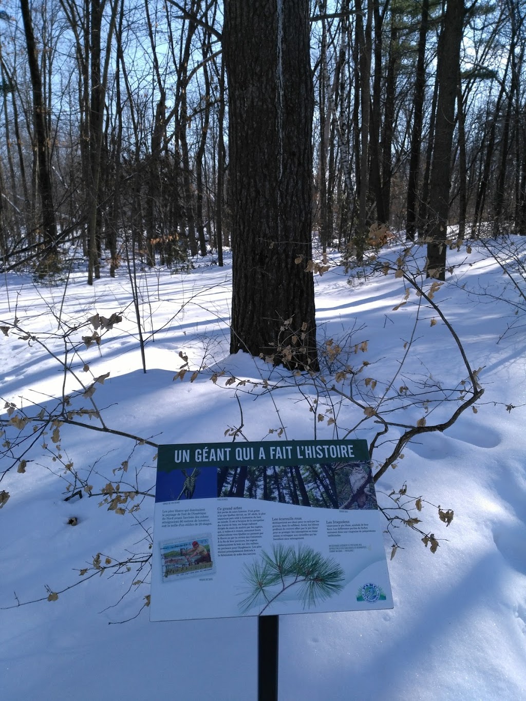 Île Des Juifs | Boisbriand, QC J7A, Canada